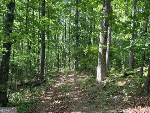 0 Bullock Bridge Rd, Monroe, GA 30656 photo 40