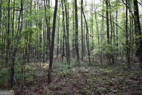 00004 Windridge Ln, Temple, GA 30179