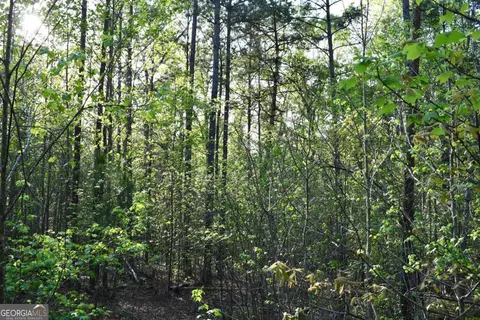 00005 Windridge Ln, Temple, GA 30179 photo 9