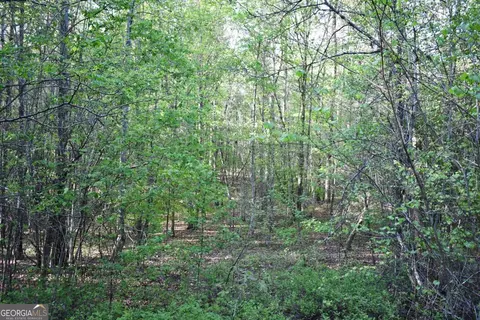 00005 Windridge Ln, Temple, GA 30179 photo 7