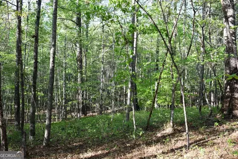00005 Windridge Ln, Temple, GA 30179 photo 6