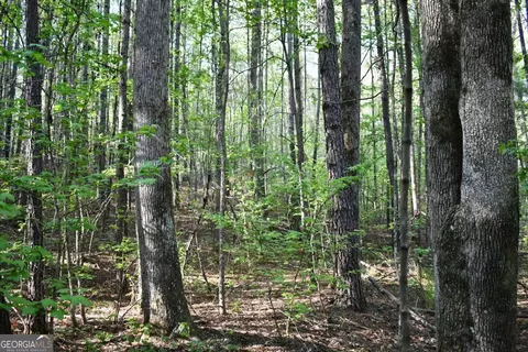 00005 Windridge Ln, Temple, GA 30179 photo 5