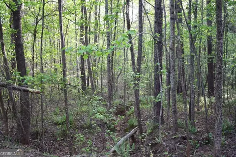 00005 Windridge Ln, Temple, GA 30179 photo 11