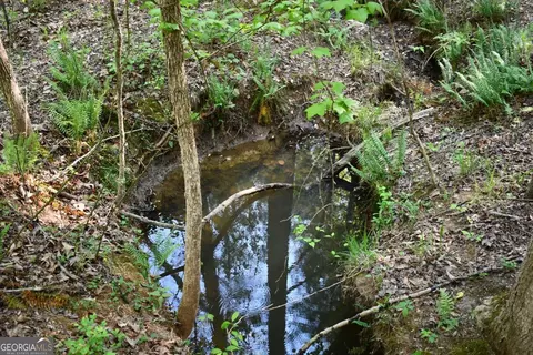 00005 Windridge Ln, Temple, GA 30179 photo 4