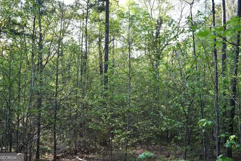 00005 Windridge Ln, Temple, GA 30179 photo 10