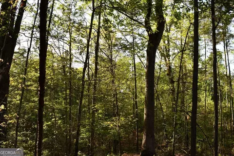 00005 Windridge Ln, Temple, GA 30179 photo 8