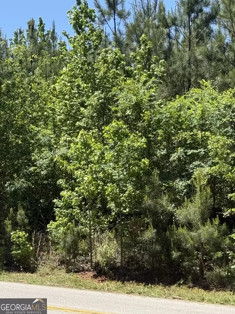 10 Acres Woodbury Hwy, Greenville, GA 30222