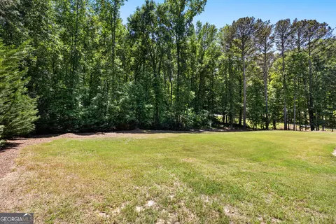 Exterior - 915 Magnolia Way, Hampton, GA 30228 photo 6 of 9