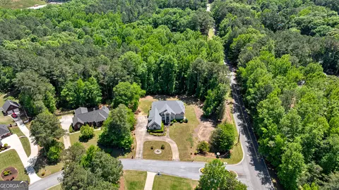 View/Area - 915 Magnolia Way, Hampton, GA 30228 photo 7 of 8