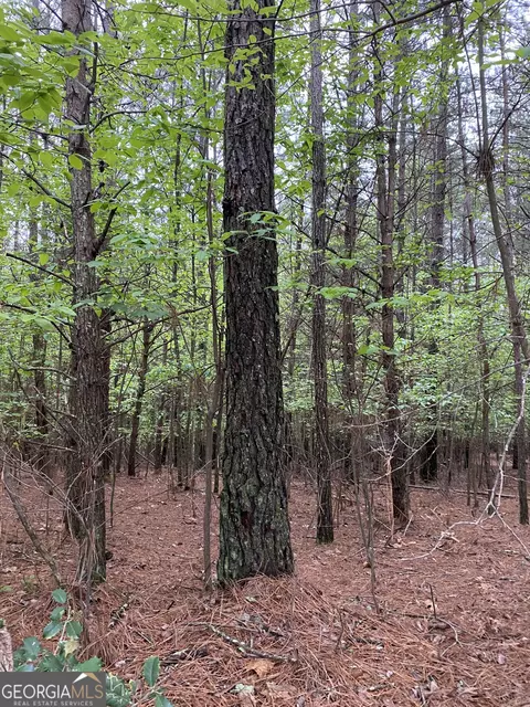 0 Mull Dr, Mineral Bluff, GA 30559