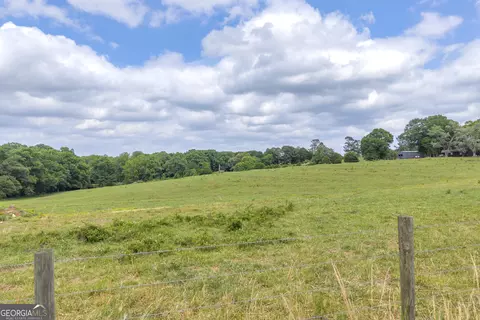 6490 Hwy 145, Carnesville, GA 30521 photo 9