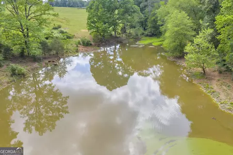 6490 Hwy 145, Carnesville, GA 30521 photo 17