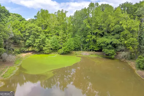 6490 Hwy 145, Carnesville, GA 30521 photo 16
