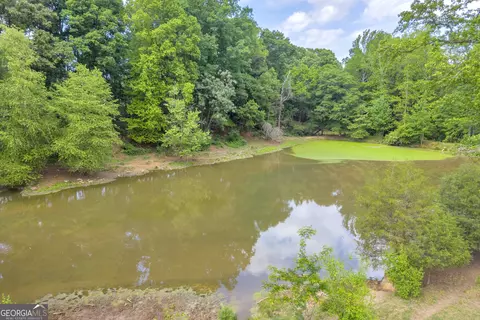 6490 Hwy 145, Carnesville, GA 30521 photo 19