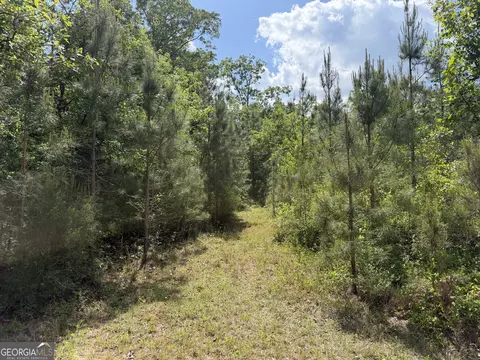 008 George Milling Rd, Cuthbert, GA 39840