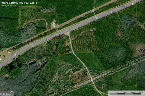 4 62 Acres Valdosta Hwy, Manor, GA 31550