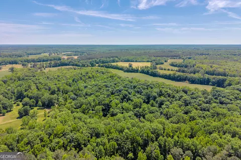 Other - 1018 Hardman Morris Rd, Colbert, GA 30628 photo 22 of 40