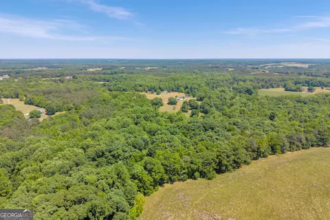 View/Area - 1018 Hardman Morris Rd, Colbert, GA 30628 photo 12 of 19