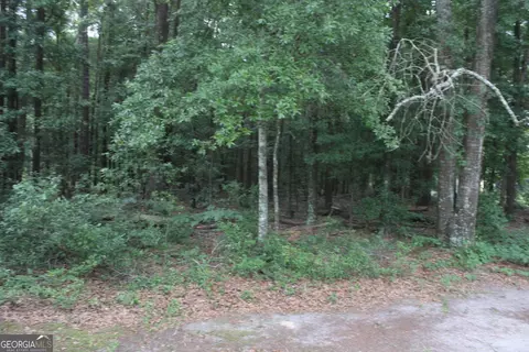 0 S State Route 49 Rd, Oglethorpe, GA 31068 photo 7