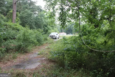 0 S State Route 49 Rd, Oglethorpe, GA 31068 photo 14