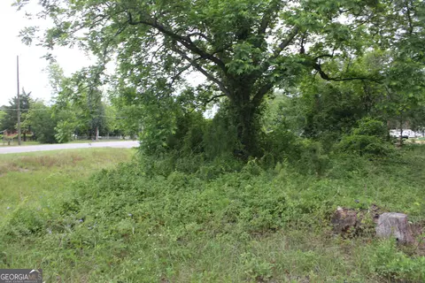 0 S State Route 49 Rd, Oglethorpe, GA 31068 photo 15