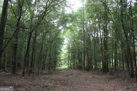 0 S State Route 49 Rd, Oglethorpe, GA 31068