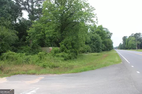 0 S State Route 49 Rd, Oglethorpe, GA 31068 photo 11