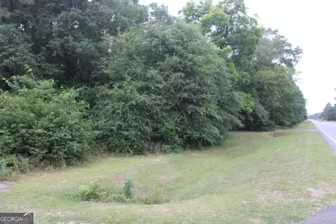 0 S State Route 49 Rd, Oglethorpe, GA 31068 photo 12