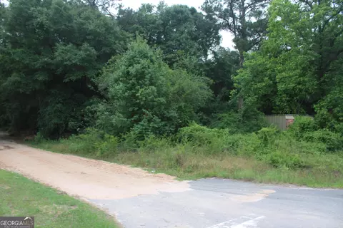 0 S State Route 49 Rd, Oglethorpe, GA 31068 photo 10