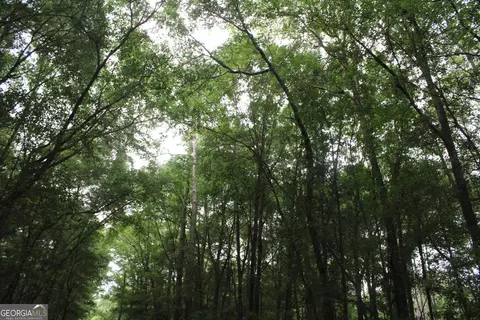 0 S State Route 49 Rd, Oglethorpe, GA 31068 photo 5