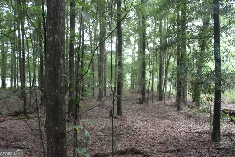 0 S State Route 49 Rd, Oglethorpe, GA 31068 photo 3