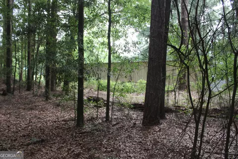 0 S State Route 49 Rd, Oglethorpe, GA 31068 photo 4
