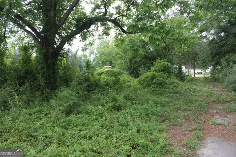 0 S State Route 49 Rd, Oglethorpe, GA 31068 photo 16