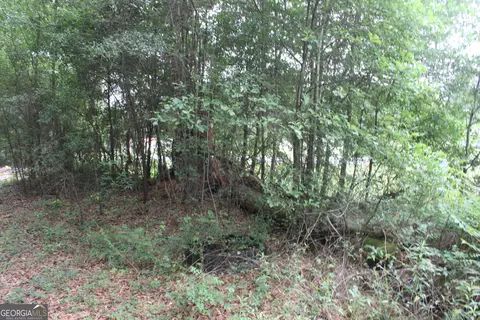 0 S State Route 49 Rd, Oglethorpe, GA 31068 photo 9