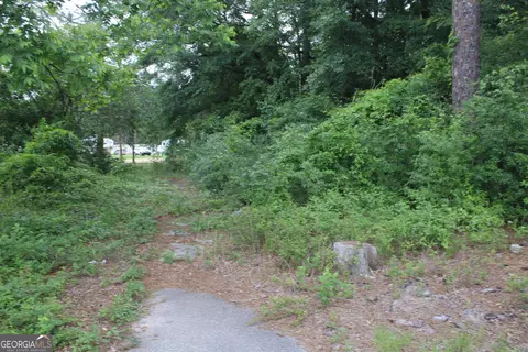 0 S State Route 49 Rd, Oglethorpe, GA 31068 photo 13
