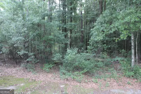 0 S State Route 49 Rd, Oglethorpe, GA 31068 photo 8