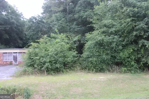 0 S State Route 49 Rd, Oglethorpe, GA 31068 photo 6