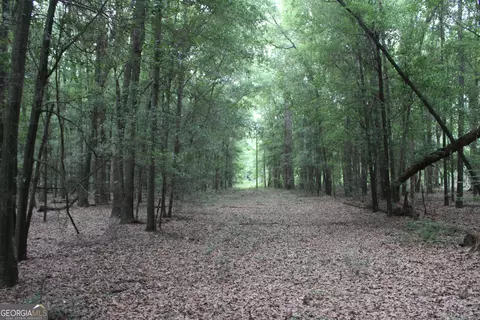 0 S State Route 49 Rd, Oglethorpe, GA 31068 photo 2