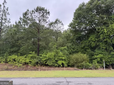 0 J W Miller Rd, Reynolds, GA 31076