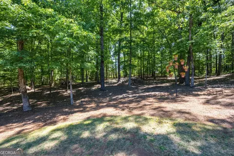 Exterior - 103 N Knotty Ct, Forsyth, GA 31029 photo 5 of 9