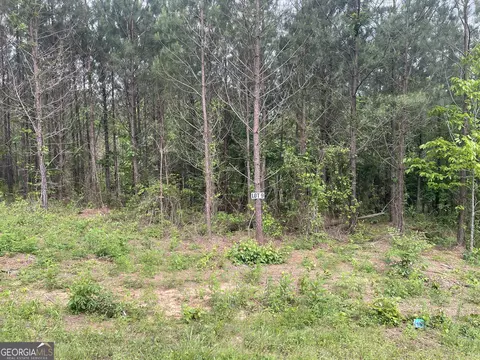 0 Bevis Rd Parcel 9, Franklin, GA 30217 photo 3