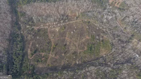 0 Warner Rd, West Point, GA 31833 photo 9