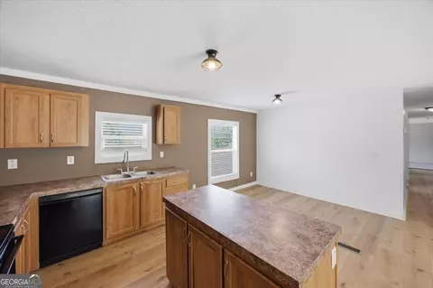 Other - 261 Blount Chapel Rd, Haddock, GA 31033 photo 4 of 14