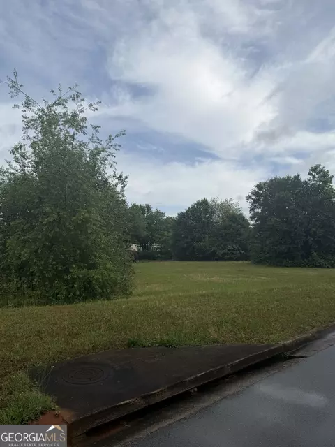 1102 Cameron Rd, Mcdonough, GA 30253 photo 3