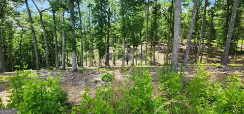 LT 106 Split Creek Road #106, Morganton, GA 30560