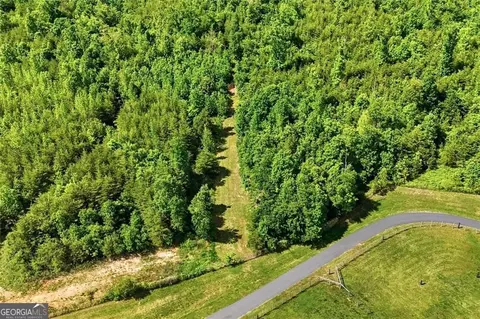 Other - 445 E Valley Rd NE, Rydal, GA 30171 photo 34 of 34
