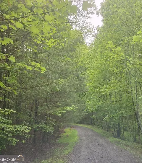 lot14 Noontootla Ridge Ct, Blue Ridge, GA 30513