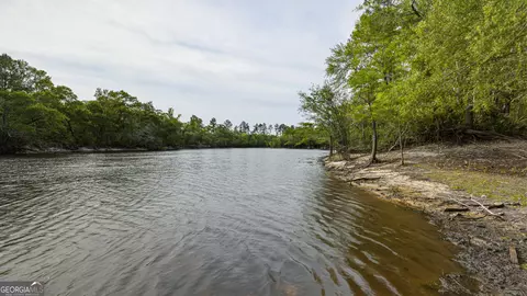 View/Area - 601 Bluff Rd N, White Oak, GA 31568 photo 4 of 16