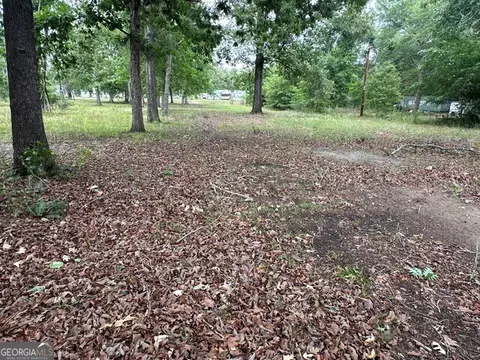 Other - 308 Three Rivers Ln, Uvalda, GA 30473 photo 6 of 6
