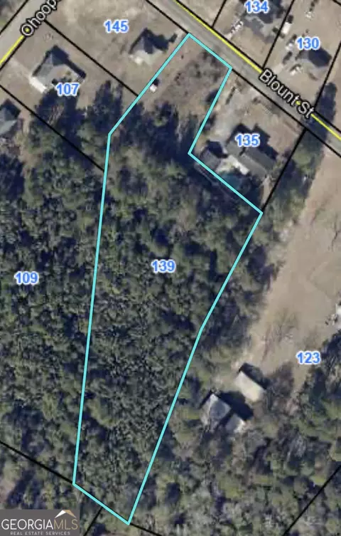 139 Blount St, Reidsville, GA 30453